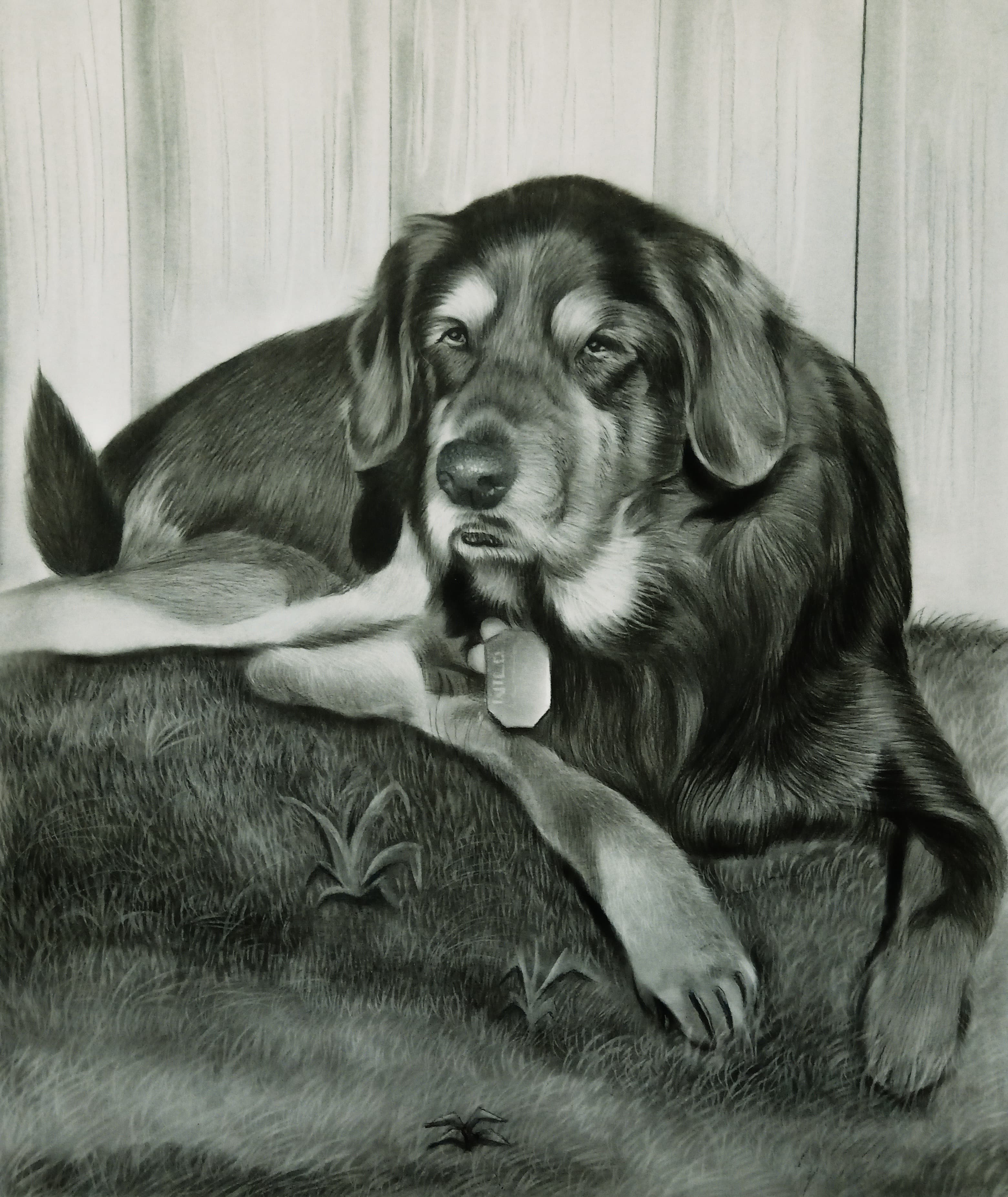 Beloved Pet